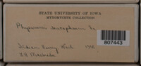 Image Associated With the Occurence